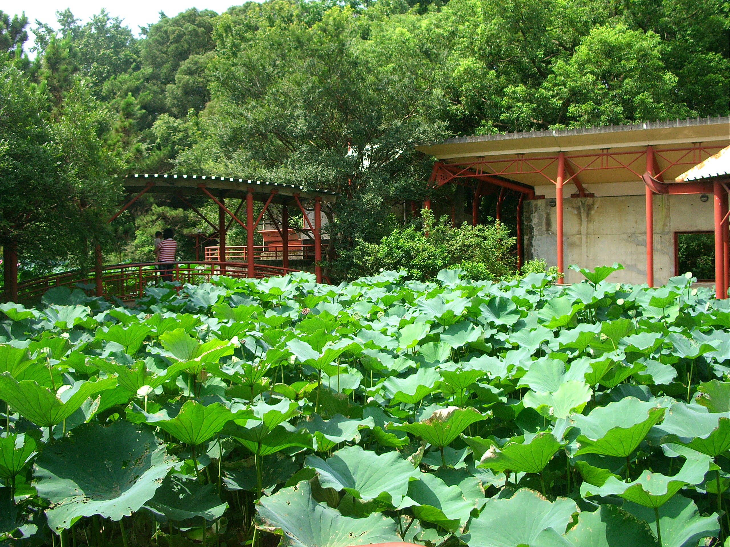 新竹旅遊景點靜心湖庭院造景